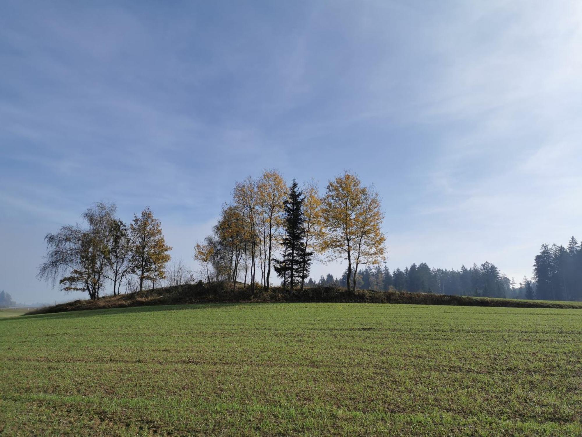 Kindererlebnis- Und Biobauernhof Hipp-Bruckner Wornharts Экстерьер фото